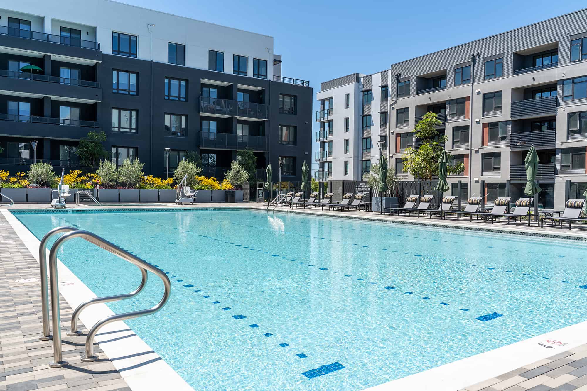 Apartments for Rent in Santa Clara CA - Prado-Sares-Regis - Sparkling Pool Surrounded by Lounge Seating